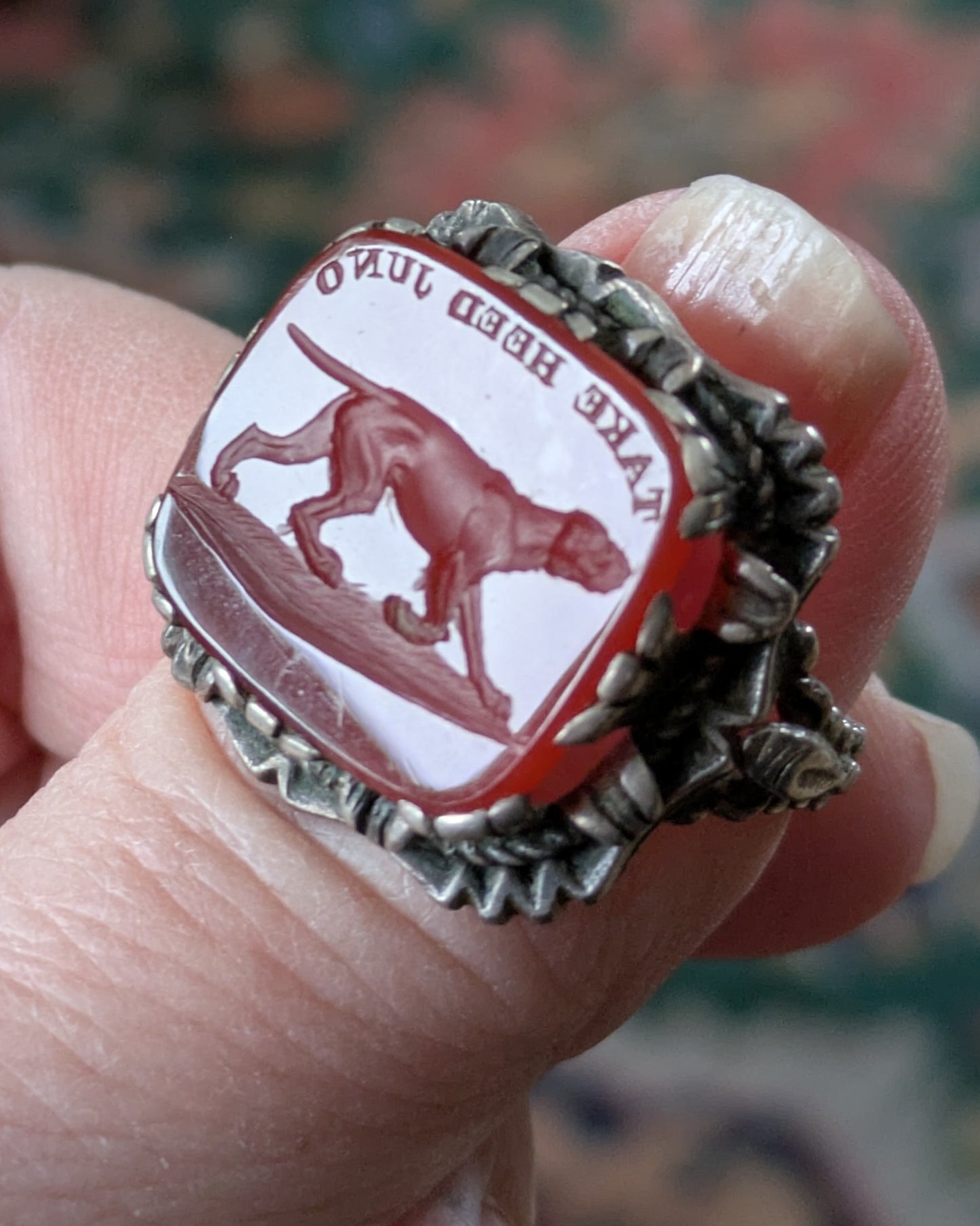 Victorian sterling silver intaglio ring with motto. "Take heed Juno" and dog