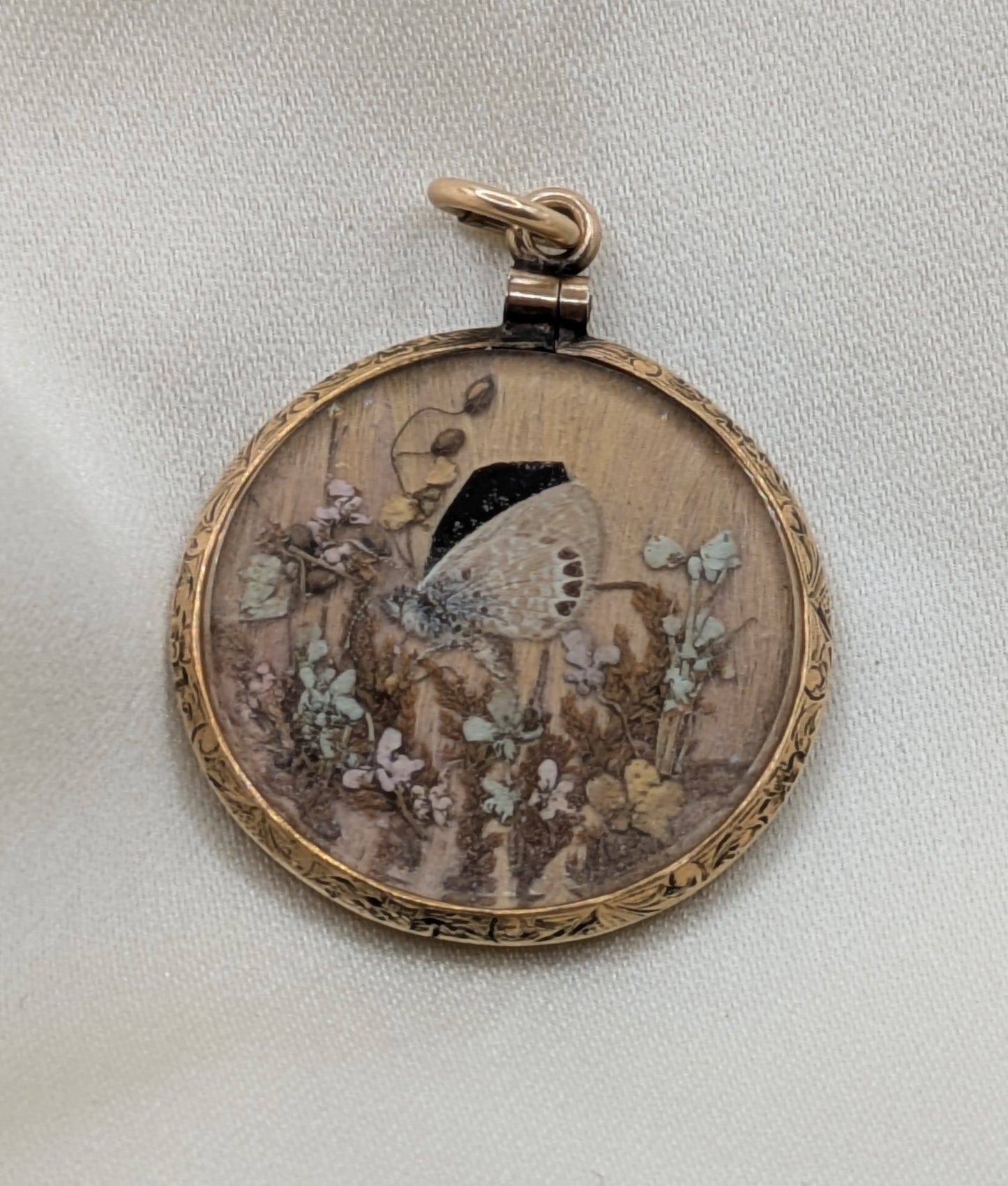 Antique Victorian Butterfly Metamorphosis two sided locket with hair, gold filled and beveled glass