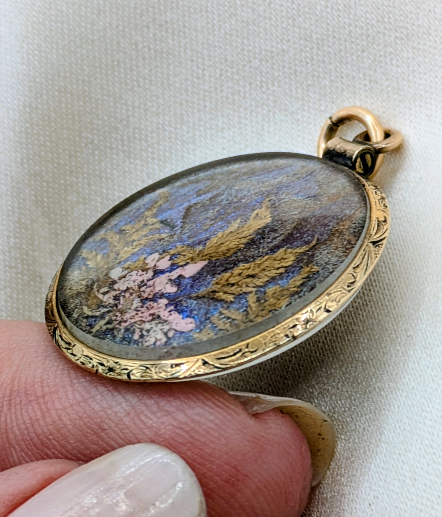 Antique Victorian Butterfly Metamorphosis two sided locket with hair, gold filled and beveled glass