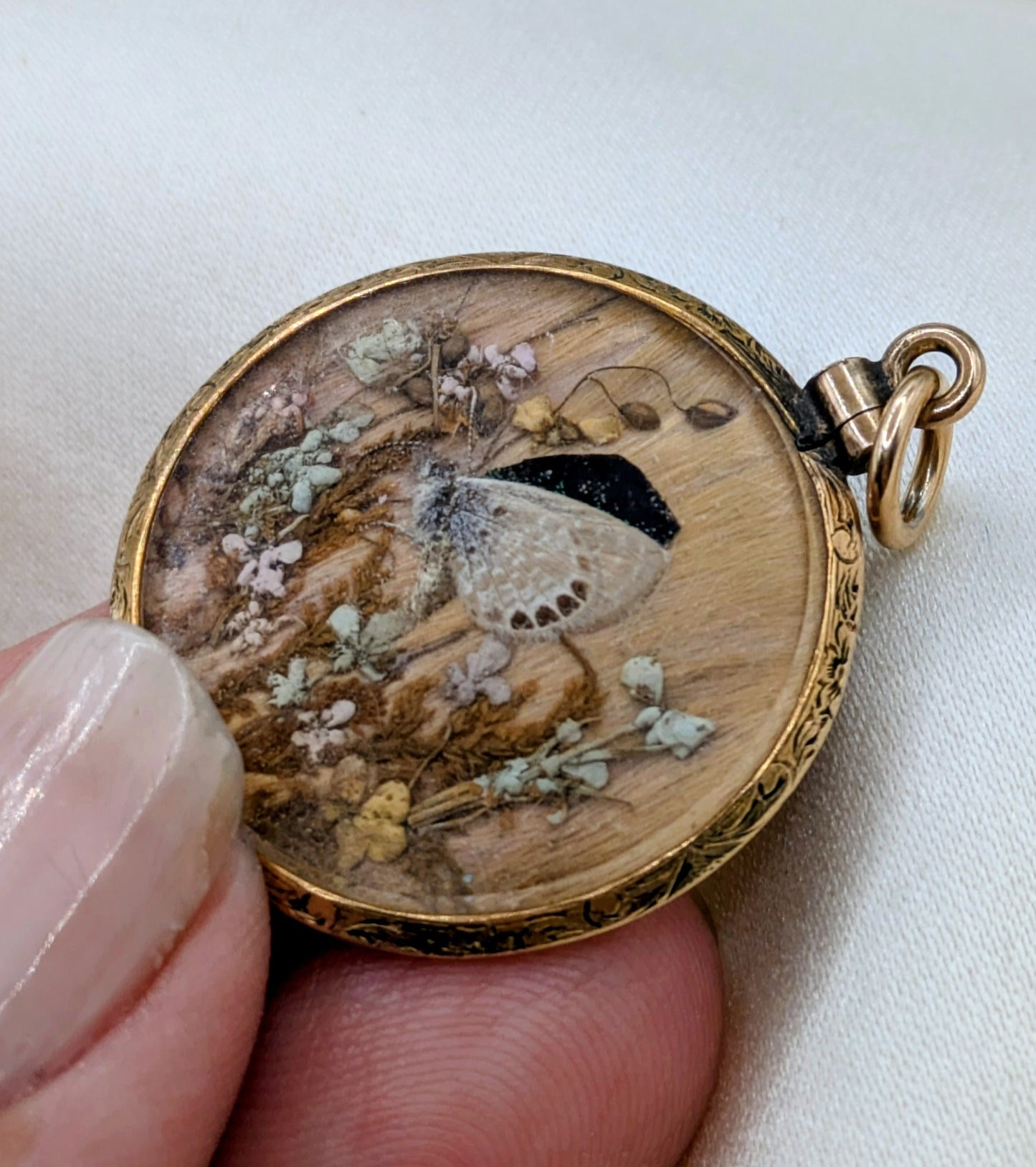 Antique Victorian Butterfly Metamorphosis two sided locket with hair, gold filled and beveled glass