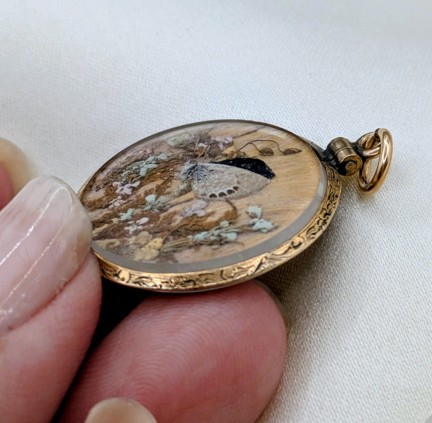 Antique Victorian Butterfly Metamorphosis two sided locket with hair, gold filled and beveled glass