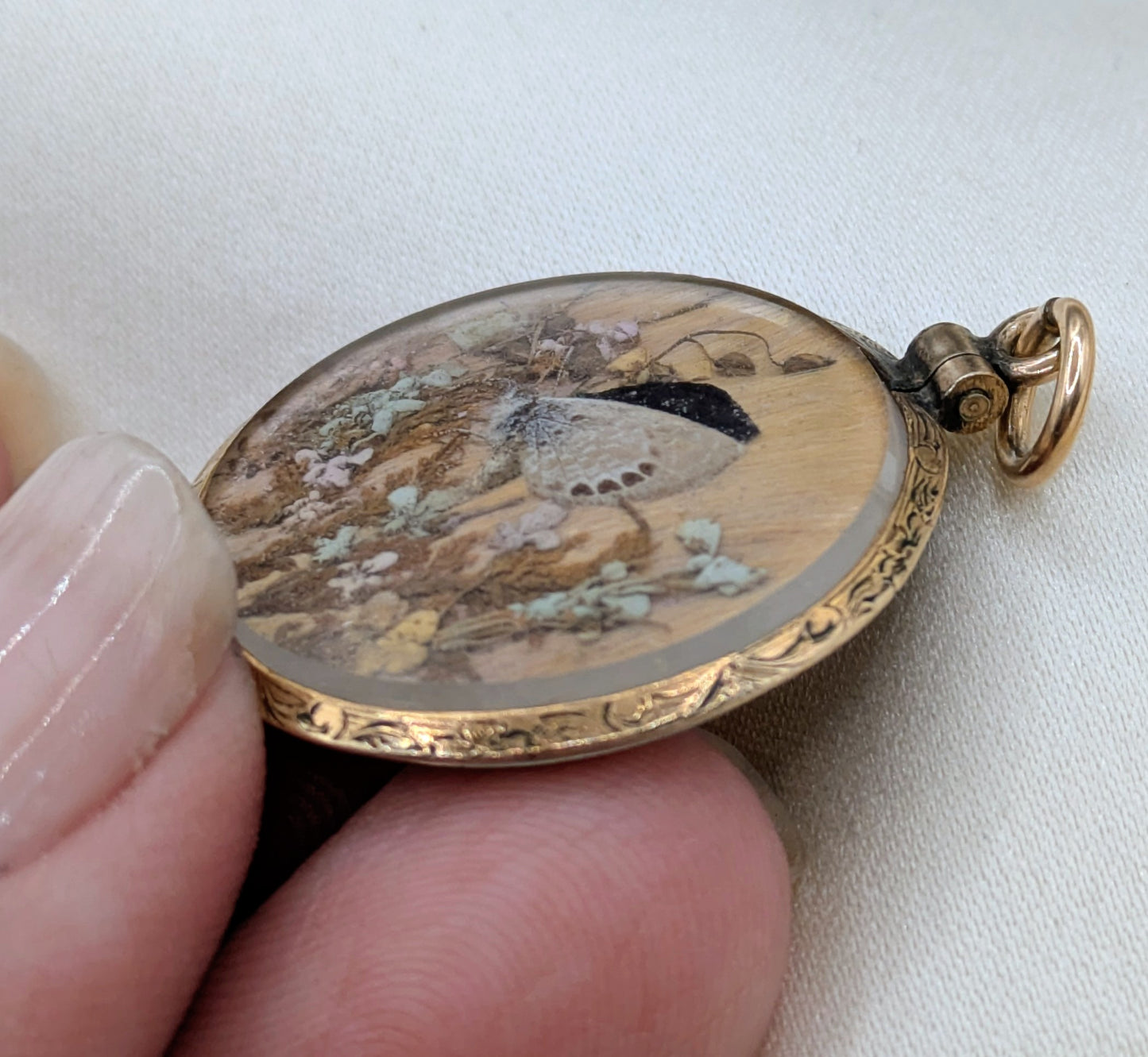Antique Victorian Butterfly Metamorphosis two sided locket with hair, gold filled and beveled glass