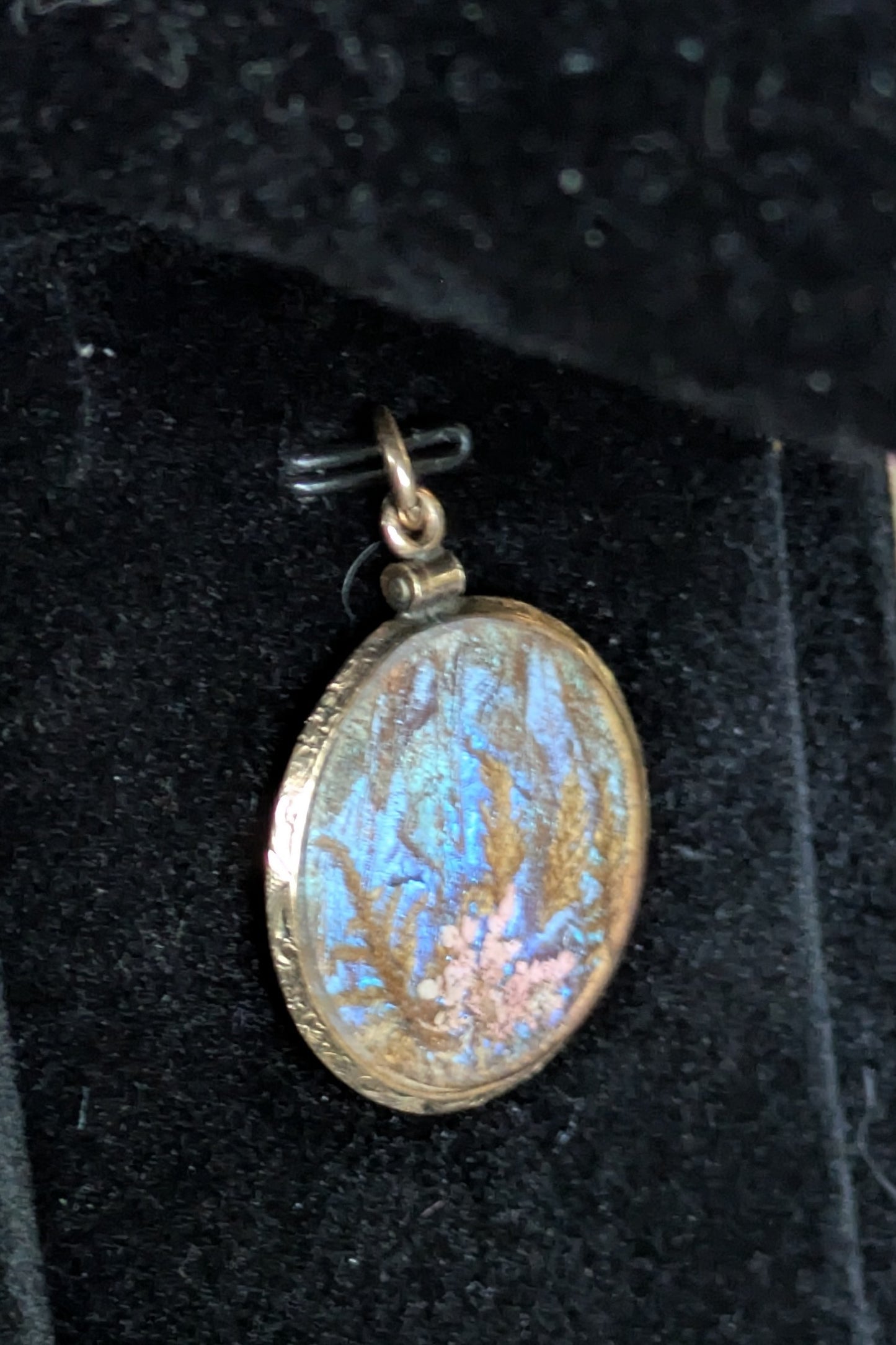 Antique Victorian Butterfly Metamorphosis two sided locket with hair, gold filled and beveled glass
