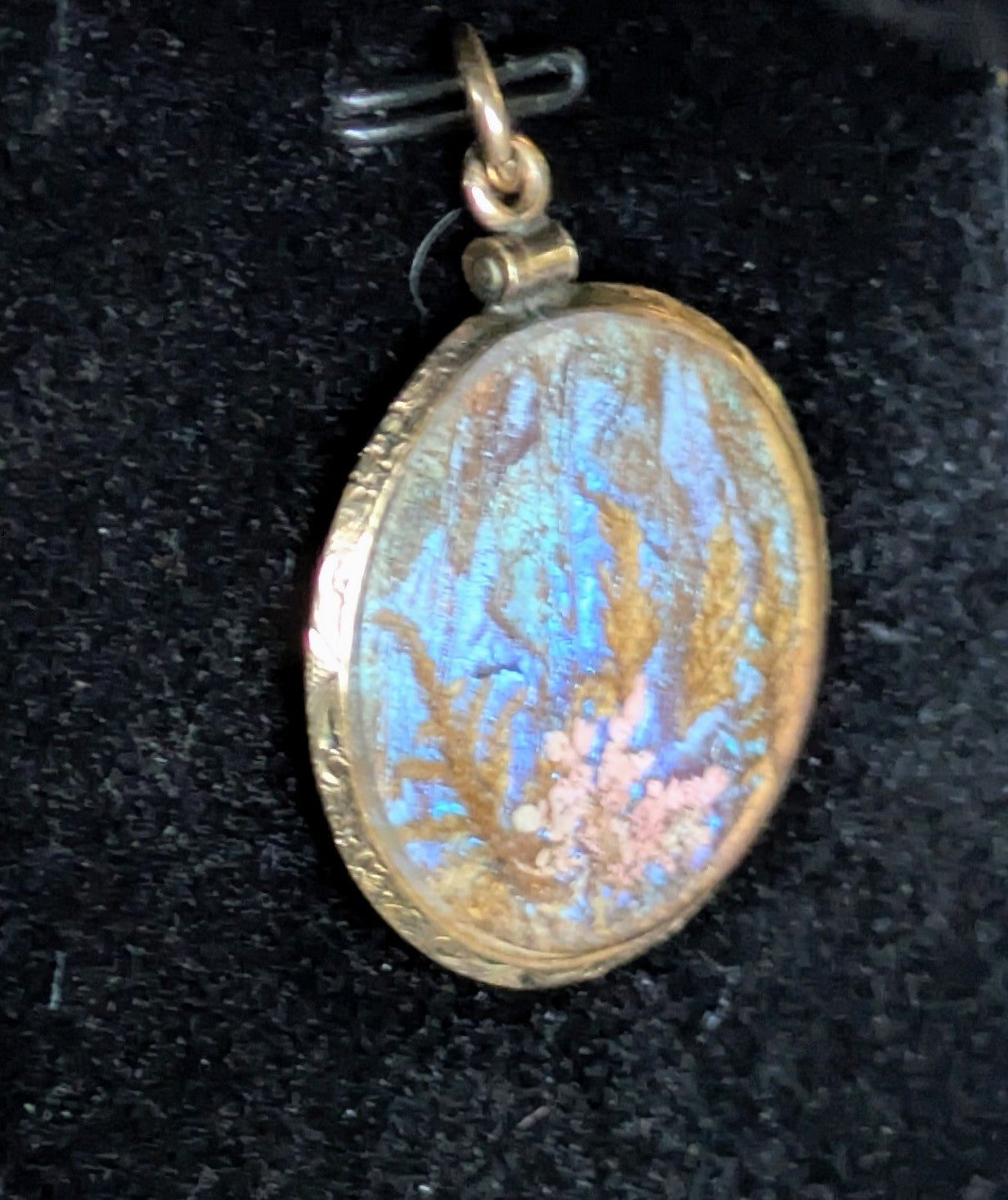 Antique Victorian Butterfly Metamorphosis two sided locket with hair, gold filled and beveled glass